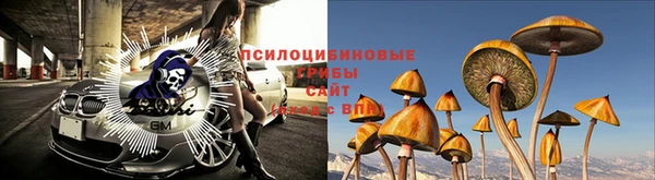 стаф Абдулино